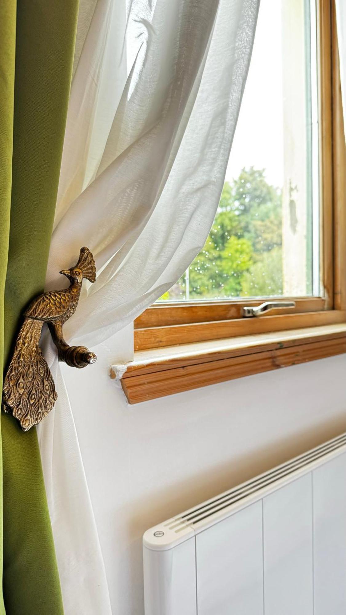 Scotland Live Cosy Guest In
